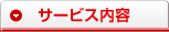 �T�[�r�X���e