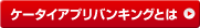 �P�[�^�C�A�v���o���L���O�Ƃ�