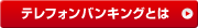 �e���t�H���o���L���O�Ƃ�