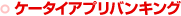 �P�[�^�C�A�v���o���L���O